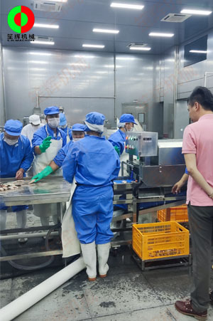 廣東中山某大型水產加工設備落成現場！